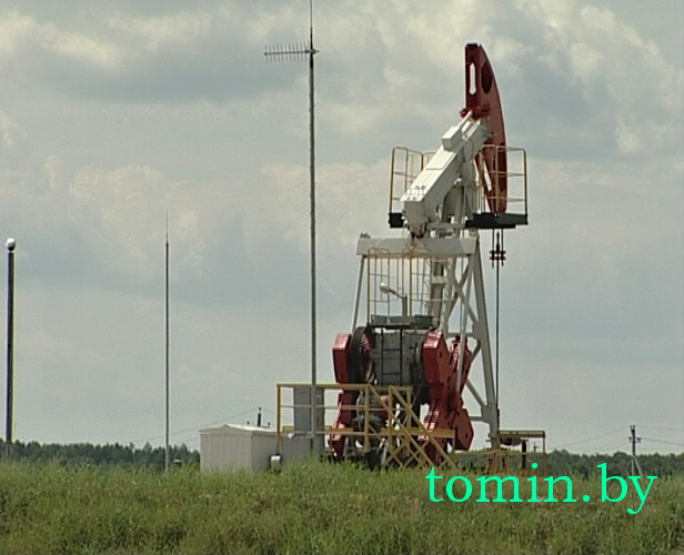 Новая залежь нефти обнаружена в Речицком районе - фото