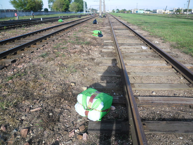 Из поезда на границе в Бресте выбросили 28 сумок с контрабандной одеждой и обувью