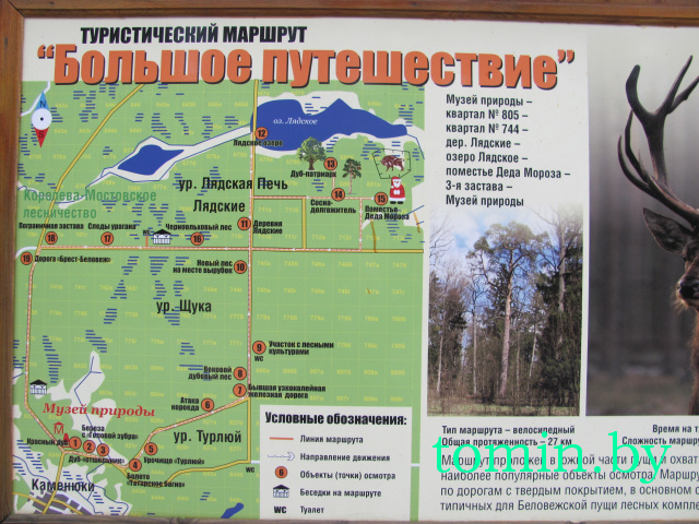 В Беловежской пуще до конца года появятся новые туристические маршруты