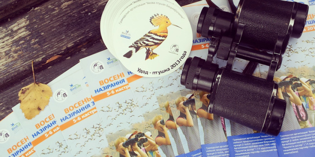 Европейские осенние дни наблюдений за птицами: белорусы увидели более 106 тысяч пернатых - фото