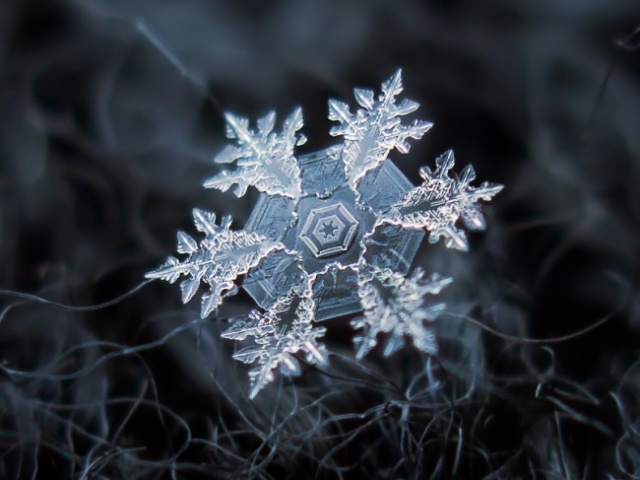 Чудеса природы: макроснимки снежинок - фото