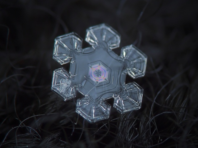 Чудеса природы: макроснимки снежинок - фото