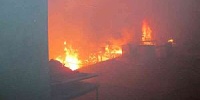 ЧП на «Борисовдреве»: Владимир Ващенко лично контролировал ситуацию на пожаре (фото)