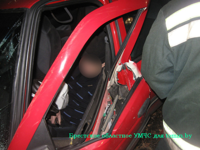 На границе Березовского и Кобринского районов "Форд" врезался в дерево: двое пострадавших - фото