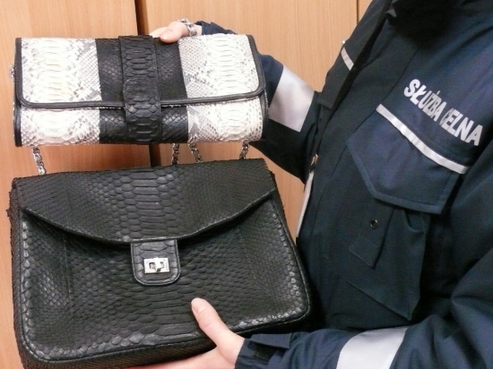 За ввоз из Беларуси в Тересполь кожи питона россиянку оштрафовали на тысячу долларов (фото)