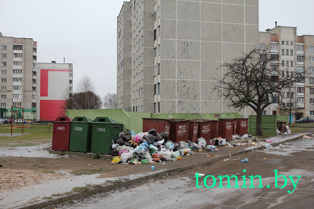 Дворы Барановичей в праздники «заросли» мусором - фото