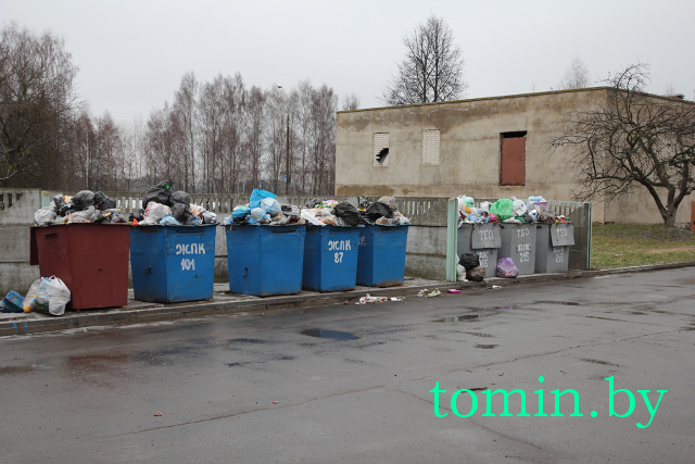 Дворы Барановичей в праздники «заросли» мусором - фото