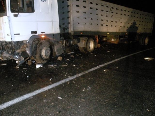 Возле Слонима «Тойота» столкнулась с автопоездом: ее водитель погиб, трое пассажиров в больнице - фото