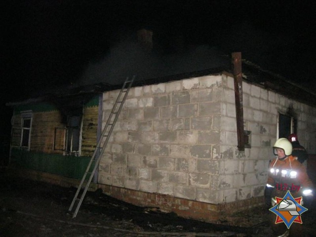 В Столинском районе в результате пожара погибли трое детей - фото