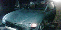 В Барановичском районе на «олимпийке» два человека пострадали в столкновении автомобиля с лосем - фото