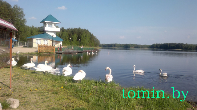 Озеро Паперня, Пружанский район, санаторий «Ружанский» - фото