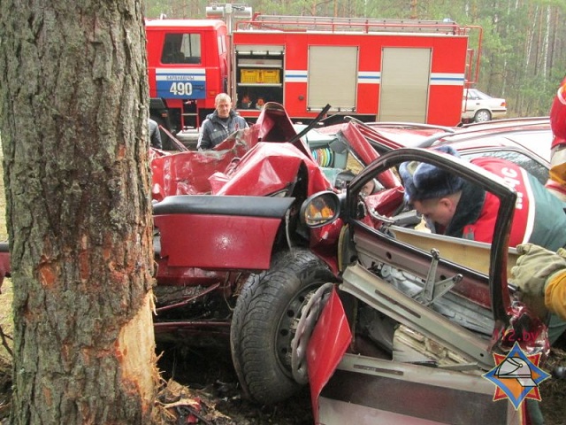 В Барановичском районе «Рено» врезался в дерево: водитель в больнице - фото