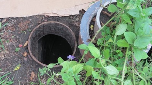 В Барановичах самогонщики устроили подземный тайник для «товара» в цветочной клумбе - фото