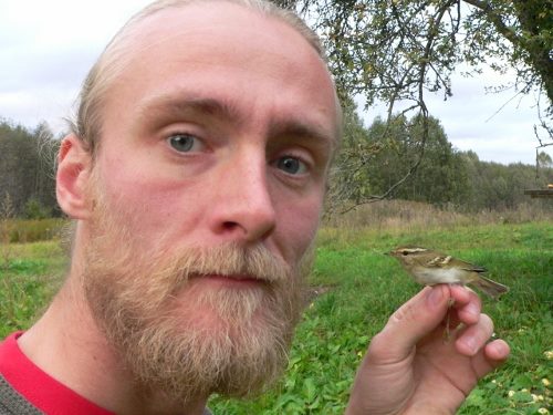 В Россонском районе орнитолог Дмитрий Шамович нашел – пеночку-зарничку - фото