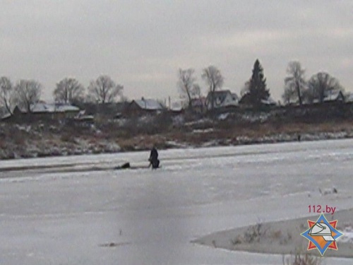 В Полоцке тренер по гребле спас провалившегося под лед парня - фото