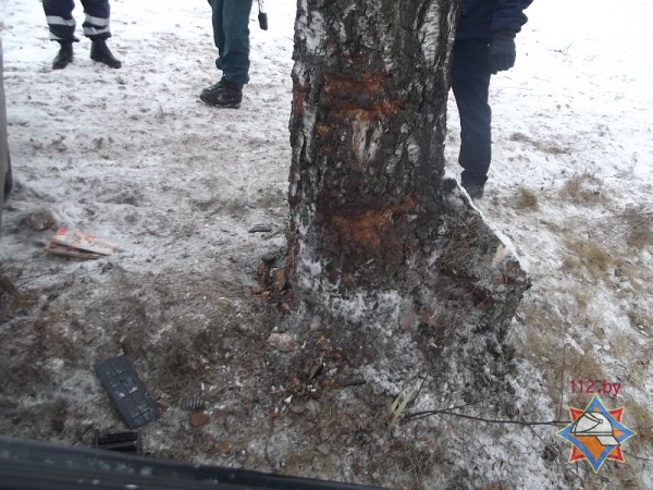 В Молодечненском районе «Волга» врезалась в дерево: водитель и пассажир - в больнице - фото