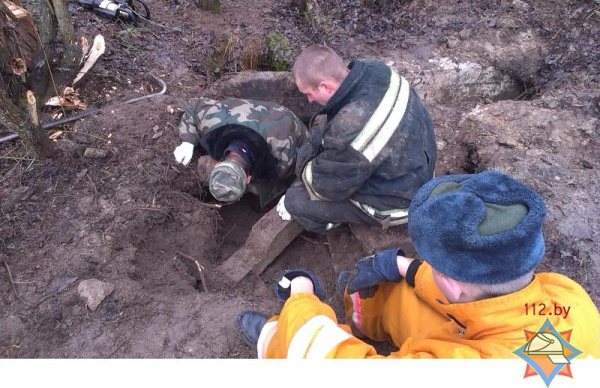 Брестские спасатели освободили застрявшую в подземных завалах охотничью собаку - фото