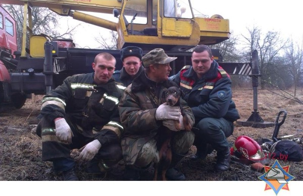 Брестские спасатели освободили застрявшую в подземных завалах охотничью собаку - фото