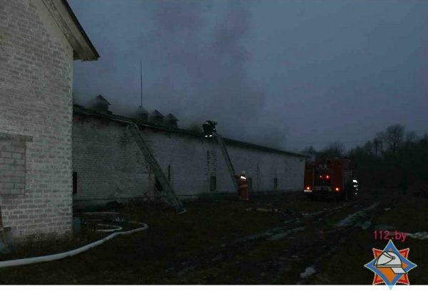 В Гродненской области на пожаре в птичнике погибли 6 тысяч утят - фото