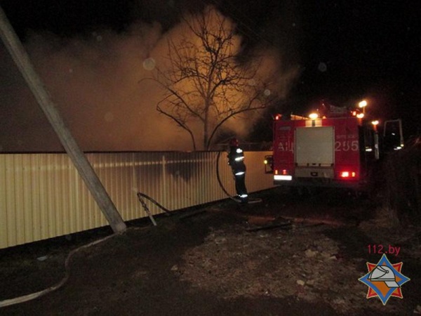 В Витебске на пожаре в дачном доме погибли два человека - фото