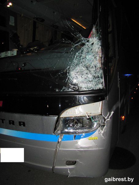 В Барановичском районе у деревни Павлиново автобус сбил пешехода: пострадавший погиб на месте - фото