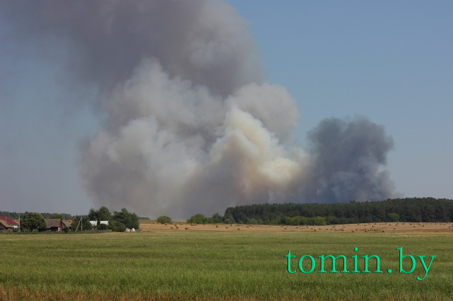 На границе Каменецкого и Жабинковского районов горит лес: в тушении задействованы около 10 единиц техники - фото.