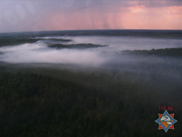 В Ганцевичском районе из-за удара молнии горят 100 гектаров леса и торфяников - фото