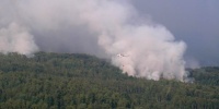 В Ганцевичском районе из-за удара молнии горят 100 гектаров леса и торфяников - фото