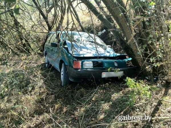 В Кобринском районе «Пассат» врезался в дерево: двое пострадавших - фото