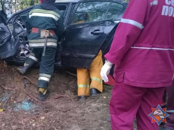 В Каменецком районе «Опель» врезался в дерево. Водитель и пассажир попали в больницу - фото