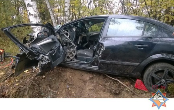 В Каменецком районе «Опель» врезался в дерево. Водитель и пассажир попали в больницу - фото