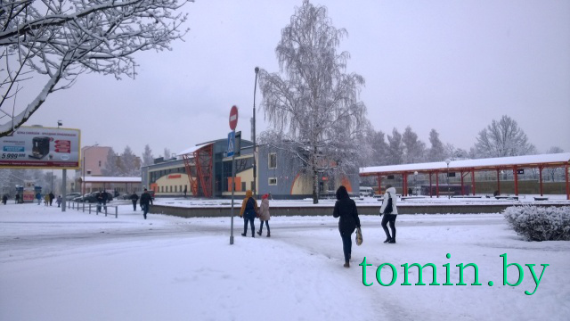 Первый снег выпал в Борисове 29 ноября. Фото Тамары ТИБОРОВСКОЙ