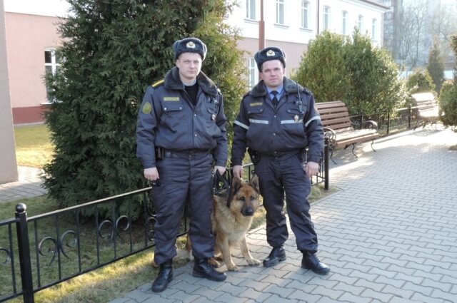 Александр Семенюк и Сергей Буневич со служебной собакой Пиф - фото 