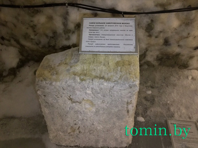 Музей вечной мерзлоты в Якутске - фото