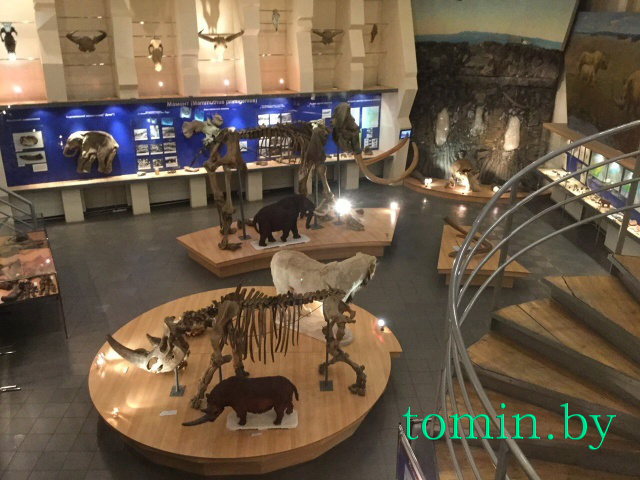 Музей мамонта в Якутске - фото