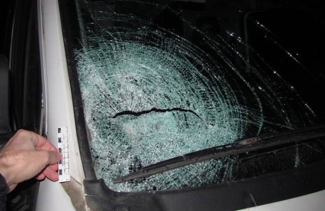 Под Лиозно на Р21 микроавтобус сбил троих подростков - фото 