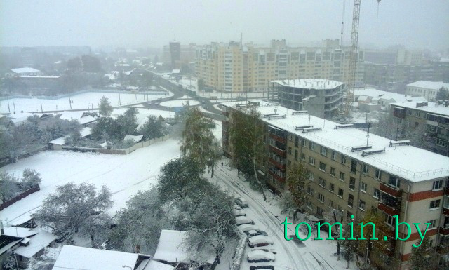 В Гомеле 26 октября 2016 года выпал первый снег - фото