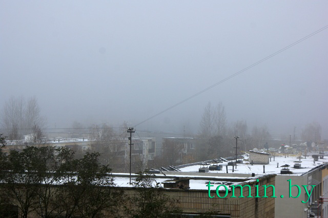 Ноябрьский туман над Брестом - фото