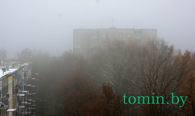 Ноябрьский туман над Брестом - фото