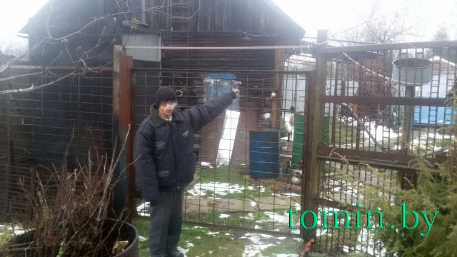 Украинца, пытавшегося нелегально попасть в РФ через Беларусь, задержали гомельские пограничники - фото