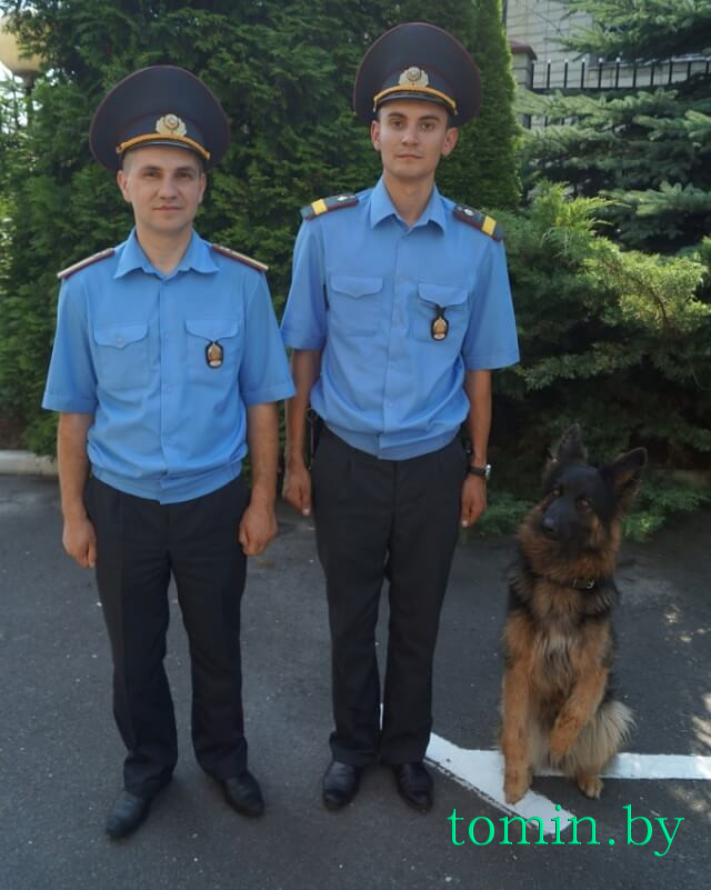 Старшина милиции Дмитрий Сокол, старший сержант милиции Дмитрий Иванюк и служебная собака Эльгата - фото