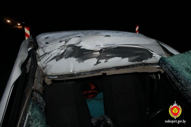 На автодороге М6 Минск-Гродно автомобиль сбил лося - фото