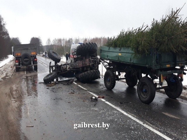 В Малоритском районе опрокинулся трактор с елками: водитель погиб под колесами МАЗа - фото