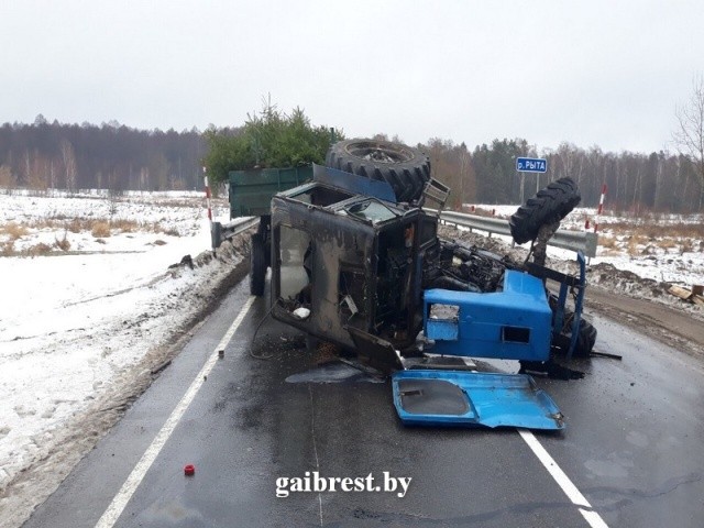 В Малоритском районе опрокинулся трактор с елками: водитель погиб под колесами МАЗа - фото