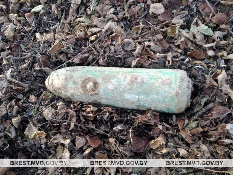 Авиабомба найдена в Пинском районе