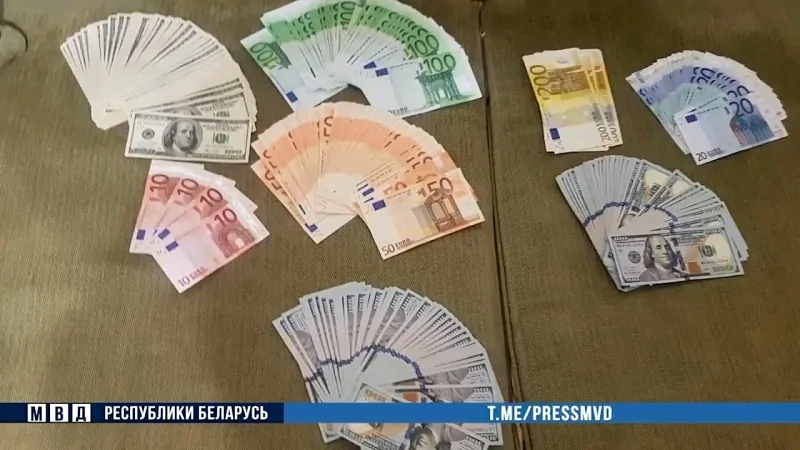 В Бресте раскрыли кражу 26 тысяч долларов и 9 тысяч евро из частного дома