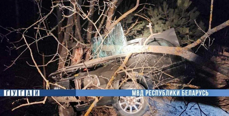 В Ивановском районе «Ауди» врезался в дерево: погиб водитель