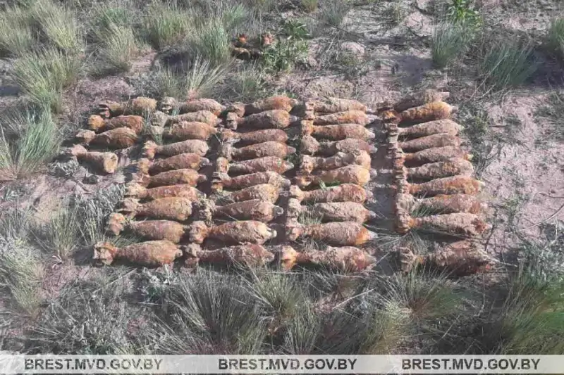 В Пинском районе обнаружили 44 минометные мины