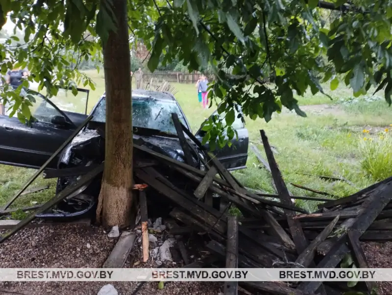 В Брестском районе «Ауди» снесла забор и врезалась в дерево: пострадала 70-летняя пассажирка