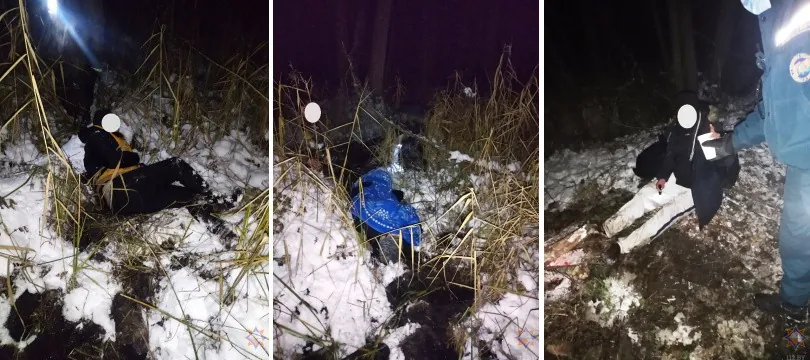 На болоте в Пружанском районе заблудились пять человек. Троих нашли